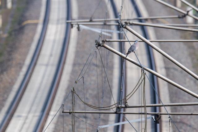 Oberleitungsschaden auf Rheintalbahn behoben: Strecke zwischen Schliengen und Rheinweiler wieder frei