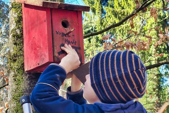 Vogelfreunde sehen in Schopfheim einen alarmierenden Rckgang der Gartenvgel