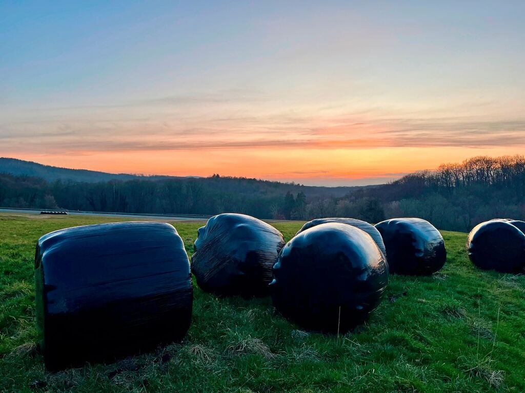 Schwarzer Wald und schwarz  folierte Heuballen vor buntem Himmel: Derzeit gibt es wunderbare Sonnenuntergnge, wie diesen in Badenweiler.