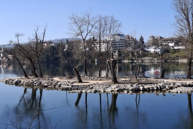 Das Rheinfelder Inseli ist bald wieder fr die ffentlichkeit zugnglich