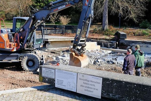 Teure Arbeiten am Kurparksee in Bad Bellingen haben begonnen