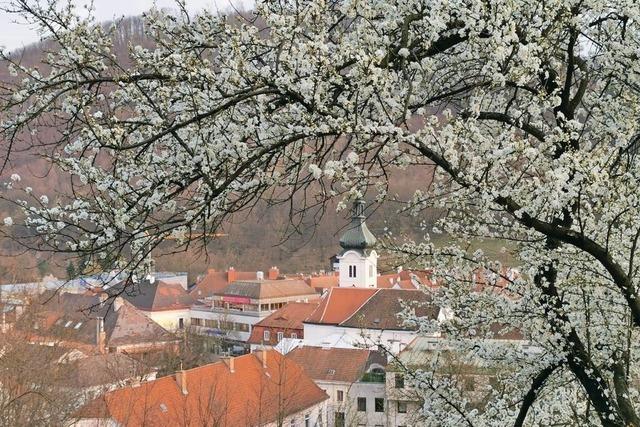 Freundeskreis Purkersdorf ist 30 Jahre alt