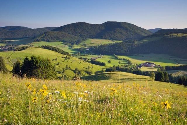 Hochtal-Steig  schnster Wanderweg?