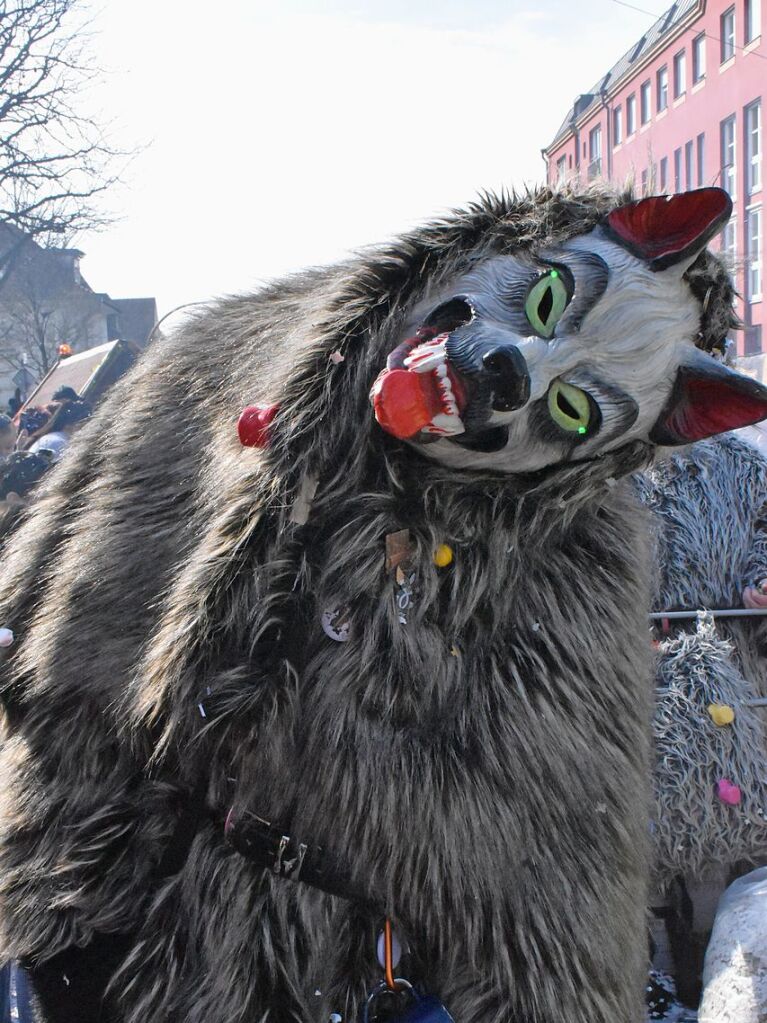 Rund 120 Fasnachtscliquen zogen am Sonntag durch Weil am Rhein und trieben Schabernack mit den Zuschauern.