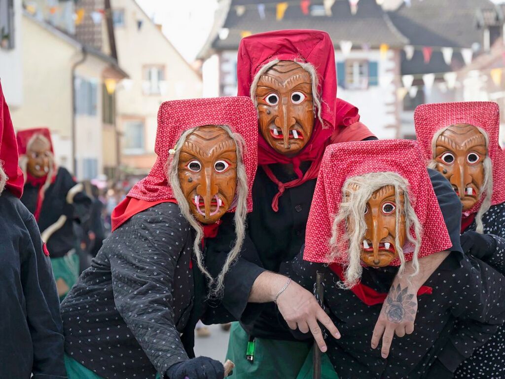 Impressionen vom Sulzbachtal-Narrenumzug in Sulzburg