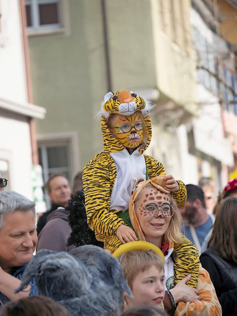 Impressionen vom Sulzbachtal-Narrenumzug in Sulzburg