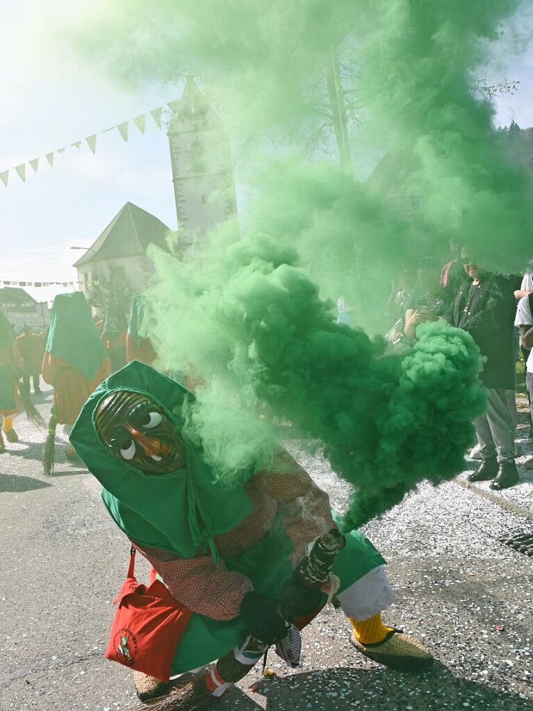 So bunt und sonnig war der Haugemer Buurefasnachtsumzug 2025