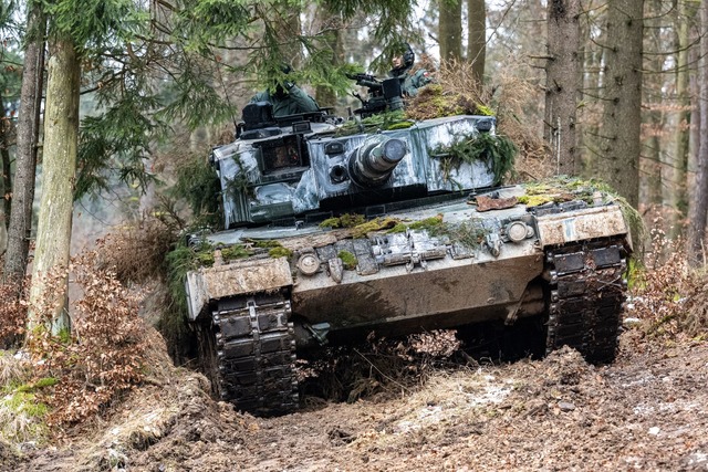 Ein in Deutschland produzierter Leopar...it&auml;r&uuml;bung teil. (Archivbild)  | Foto: Armin Weigel/dpa