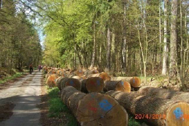Gefhrte Fahrradtour rund um den Klosterflecken Ebstorf