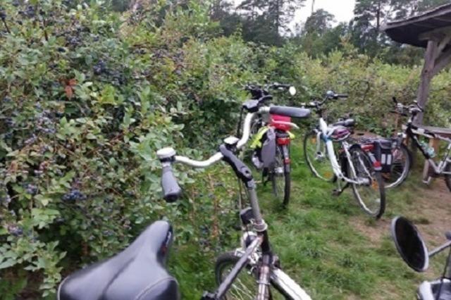 Gefhrte Fahrradtour rund um den Klosterflecken Ebstorf