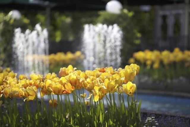 Lahr feiert 150 Jahre Stadtpark