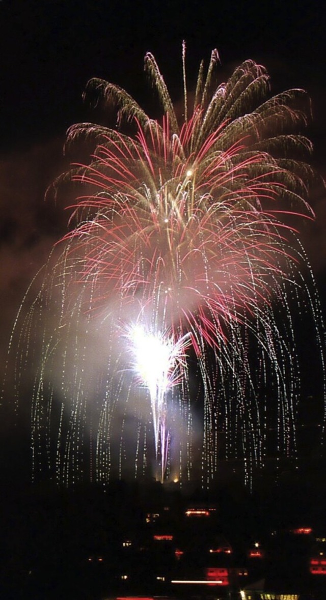 Auch ein Besuch beim Grofeuerwerk Rhein in Flammen ist geplant.  | Foto: Thomas Frey