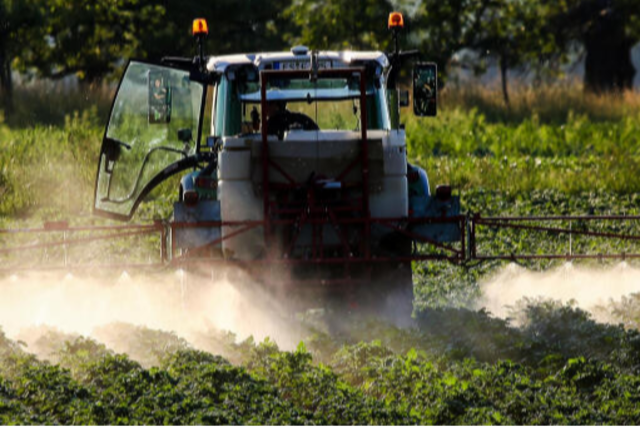 Pestizide tauchen fernab von Weinbau und ckern auf - auch am Feldberg