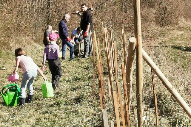 Wie Jung und Alt in Bombach ein Paradies fr Vgel und Insekten schaffen wollen