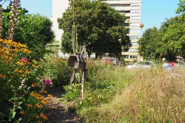 Die Biotopverbund-Planung hat in Weil das Ziel eines Grtels von Biotopen rund um die Stadt