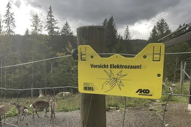 30.000 Euro Frderung fr den Verein Wildgehege aus St. Blasien