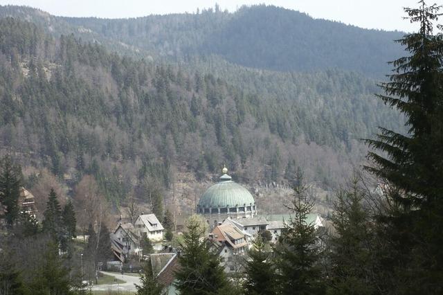 Dem Borkenkfer im Wald von St. Blasien schmeckt das feuchte Frhjahr nicht