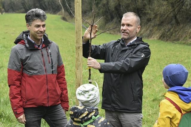 Vom verwilderten Tal zur Streuobstwiese