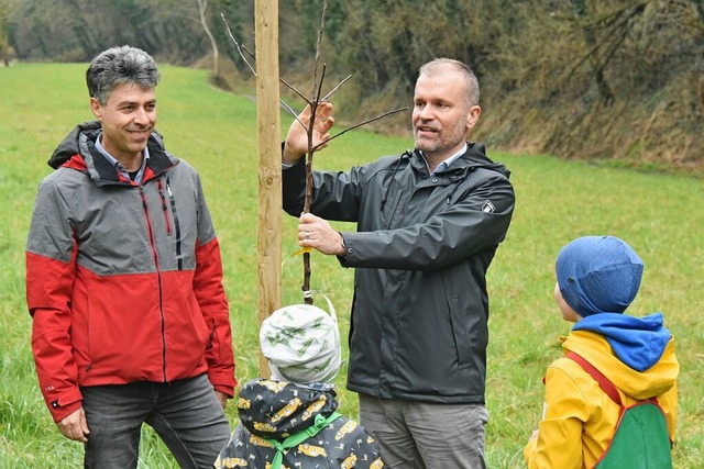 Lieen sich durch das schlechte Wetter... Streuobstwiese im Ihringer Wetzental.  | Foto: Benedikt Sommer