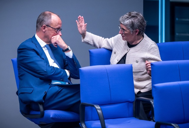 CDU-Chef Friedrich Merz bedauert den W...n Britta Ha&szlig;elmann. (Archivbild)  | Foto: Michael Kappeler/dpa