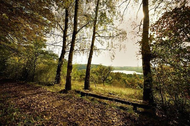 Achtsamkeits-Rundtour Mindelsee