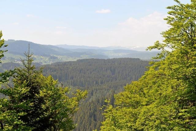 Heiraten mit Blick auf den Feldberg: Friedenweiler richtet weiteren Outdoor-Trauplatz ein