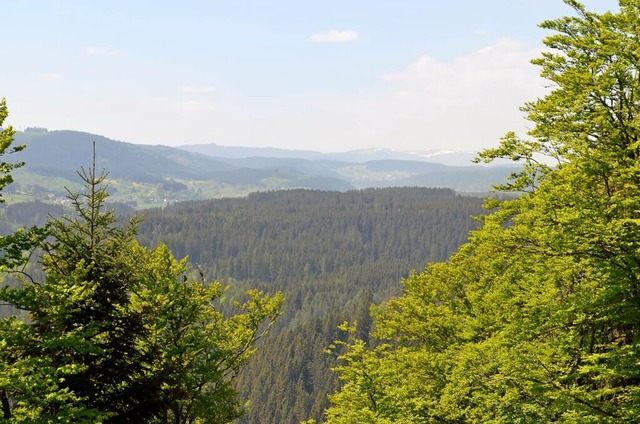 Gute Aussichten fr eine Eheschlieung...h knnen sich Paare das Ja-Wort geben.  | Foto: Gemeinde Friedenweiler