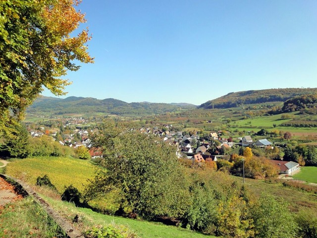 Blick ins Eggenertal: In Schliengen ha...el ist das Thema unechte Teilortswahl.  | Foto: Silke Hartenstein