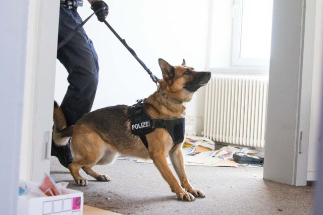 Wird die Polizeihundestaffel im Gewerbepark Breisgau vereint?