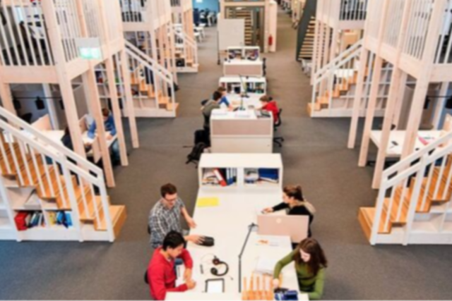 Kein Stundenplan, kein Gong - an dieser Schule luft alles anders