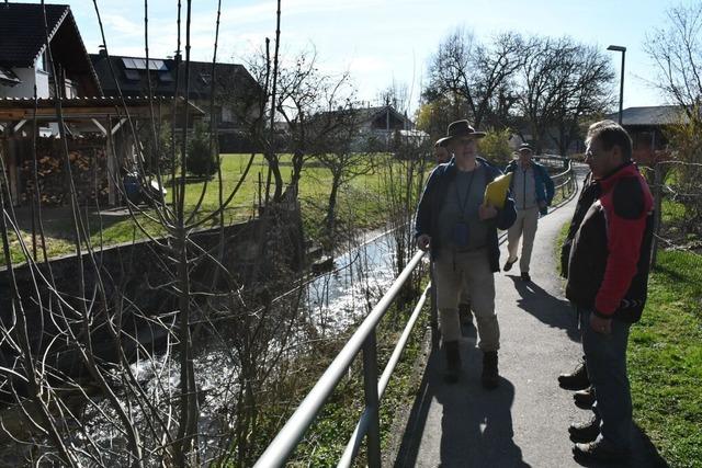 Gewsserschau in Degerfelden nimmt Flora, Fauna, Funktion und Gesetzeseinhaltung unter die Lupe