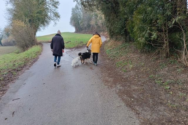 In Rheinfelden-Nordschwaben geht die Diskussion um Leinenpflicht fr Hunde weiter