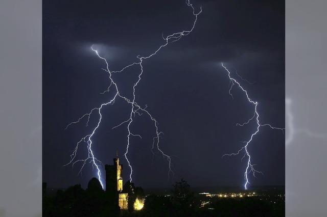 Baum ist Baum, wenn der Blitz einschlgt