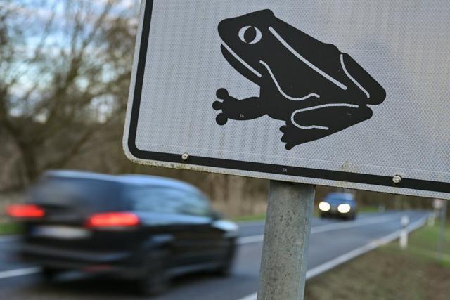 Die Krten sind unter Druck: So geht es den Amphibien im Landkreis Emmendingen