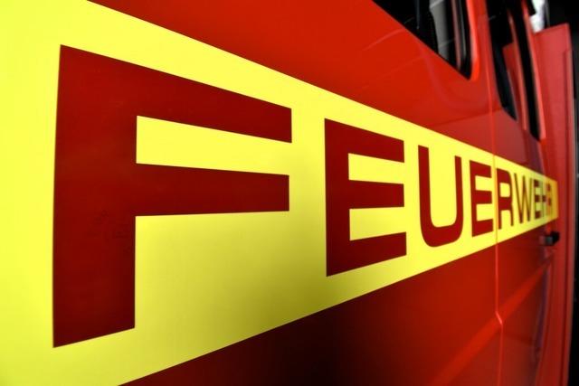 Nachwuchsarbeit der Freiwilligen Feuerwehr Oberried zeigt Erfolge