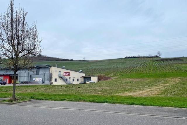 Lckenschluss in exponierter Lage am Schliengener Sonnenstck schreitet voran