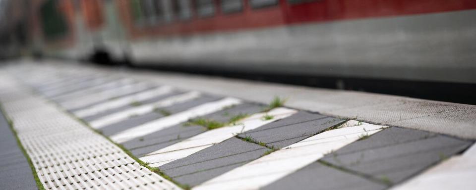 Nach einer Schlgerei im Zug zwischen Bad Sckingen und Dogern sucht die Polizei den Geschdigten