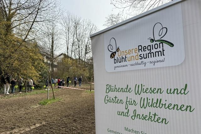 Schulkinder bringen die Natur zum Blhen - eine weitere Wildblumenwiese entsteht in Lahr