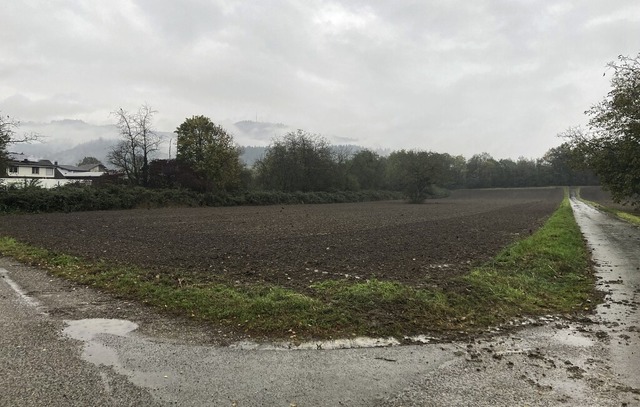Auf diesem Grundstück soll die Feuerwa...ung der Industriestraße werden könnte. | Foto: Annemarie Rösch Auf diesem Grundstück soll die Feuerwa...ung der Industriestraße werden könnte. | Foto: Annemarie Rösch