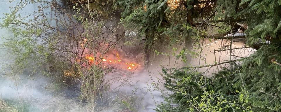 Brand im Unterholz sorgt fr Feuerwehreinsatz in Staufen