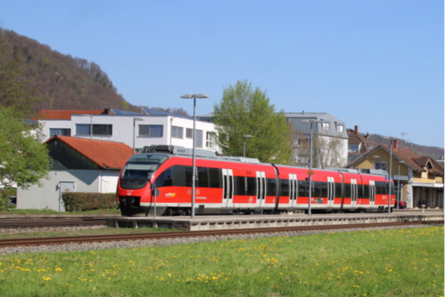 Ausbau der Hochrheinbahn vor dem Start - zuerst geht es um Tiere