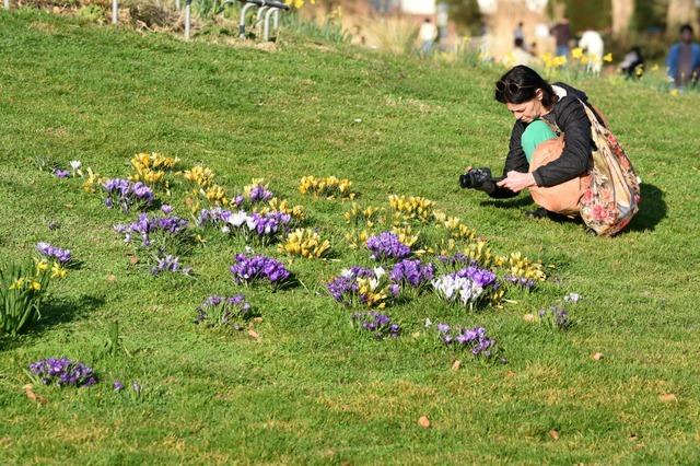 Am Samstag wird es warm in Baden-Wrttemberg