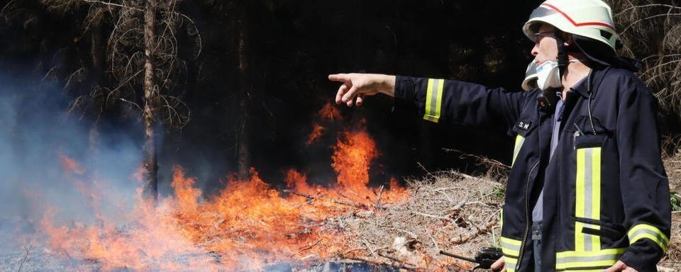 Zeugen gesucht nach Flchenbrand im Albbrucker Wald