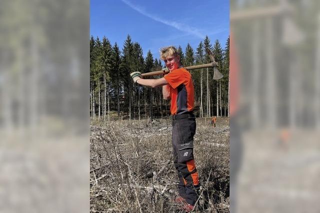 Hier wird immer auf Holz gebaut