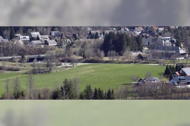 Platz fr Praxen, Grund fr Gewerbe