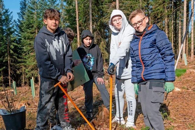 Bonndorfer Schler tauschen Klassenzimmer gegen Wald