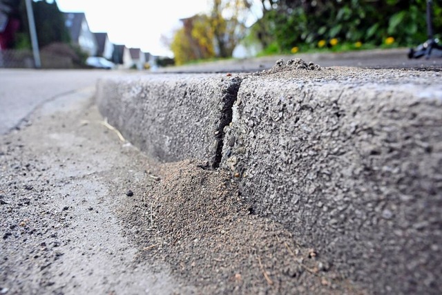 Am Bordstein einer Strae in Schutterw...kolonie von Tapinoma magnum hinweisen.  | Foto: Uli Deck (dpa)