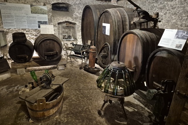 Interessante Einblicke in den Weinbau  | Foto: Sebastian Ehret