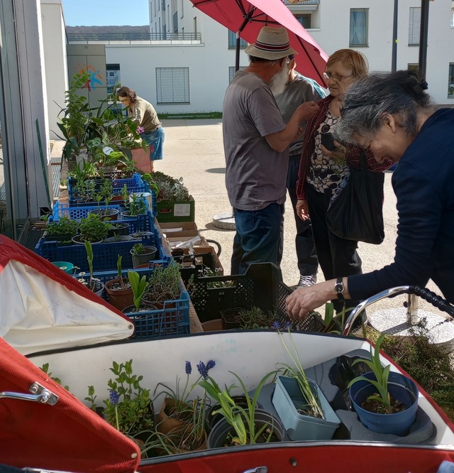 Pflanzen im Tausch  | Foto: Caritas