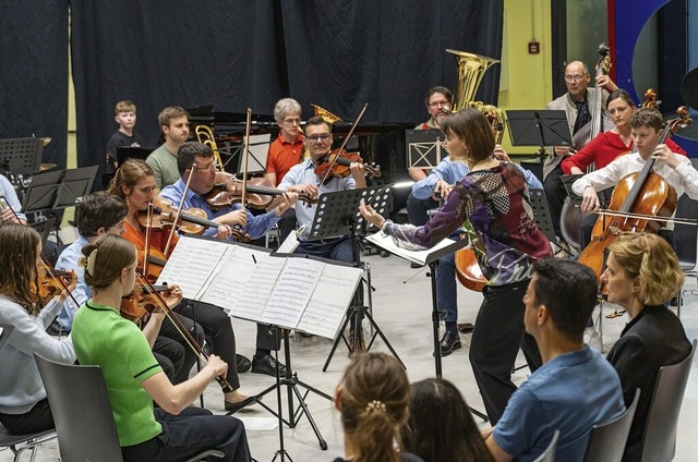 Scheffel-Orchester im Einsatz und unter der Leitung von Bettina Hlscher  | Foto: Scheffelgymnasium